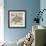 Coastal Gems III-John Seba-Framed Giclee Print displayed on a wall