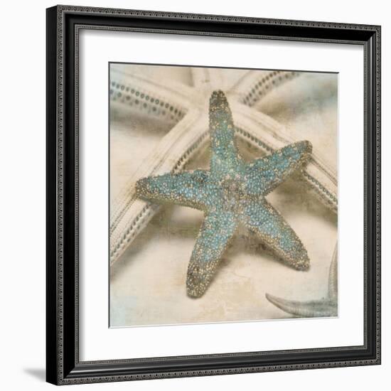 Coastal Gems III-John Seba-Framed Giclee Print