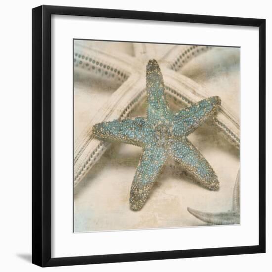 Coastal Gems III-John Seba-Framed Giclee Print