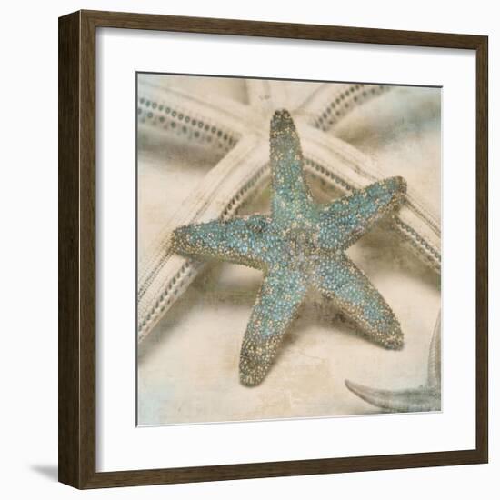 Coastal Gems III-John Seba-Framed Giclee Print