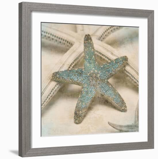 Coastal Gems III-John Seba-Framed Giclee Print