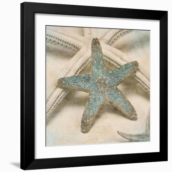 Coastal Gems III-John Seba-Framed Giclee Print