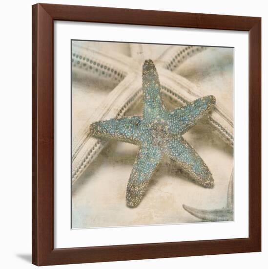 Coastal Gems III-John Seba-Framed Giclee Print