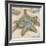 Coastal Gems III-John Seba-Framed Giclee Print