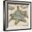 Coastal Gems III-John Seba-Framed Giclee Print