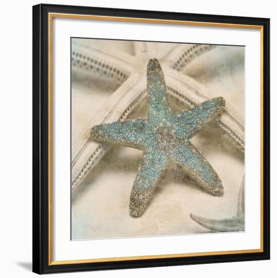 Coastal Gems III-John Seba-Framed Giclee Print