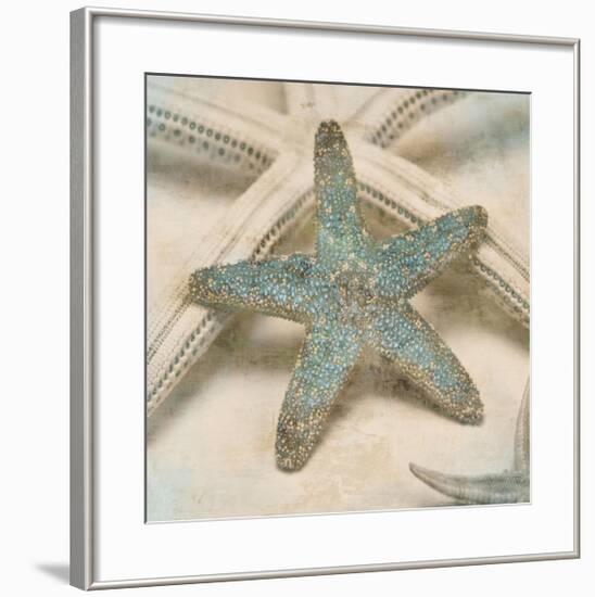 Coastal Gems III-John Seba-Framed Giclee Print