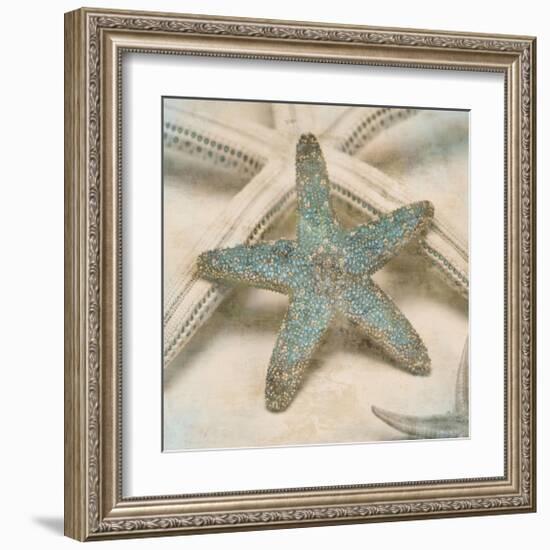 Coastal Gems III-John Seba-Framed Giclee Print