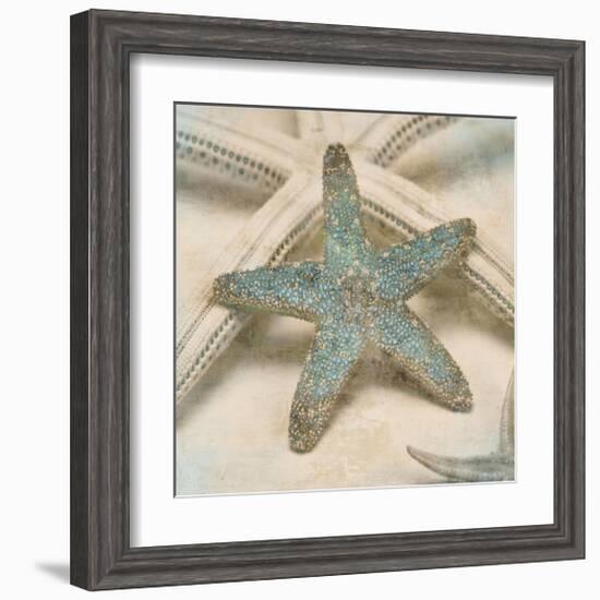 Coastal Gems III-John Seba-Framed Giclee Print