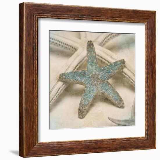 Coastal Gems III-John Seba-Framed Giclee Print