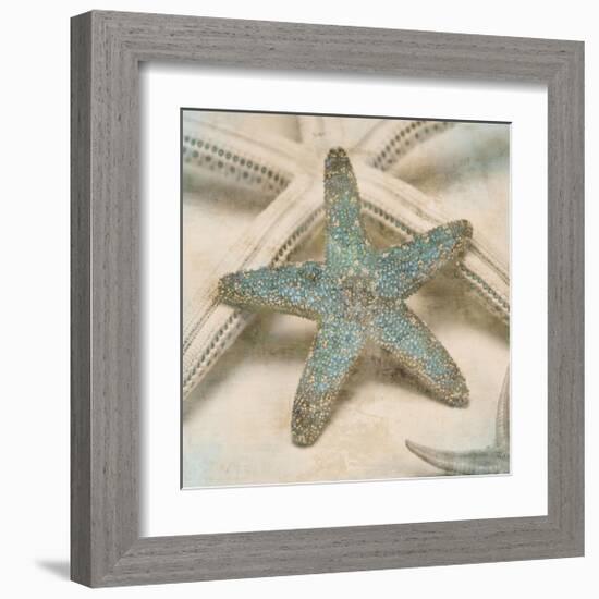 Coastal Gems III-John Seba-Framed Giclee Print