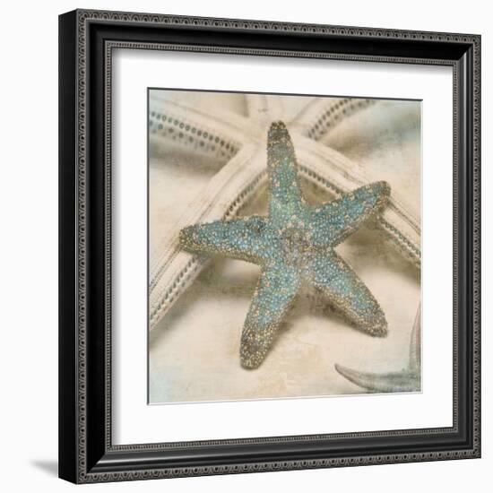 Coastal Gems III-John Seba-Framed Giclee Print