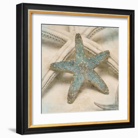 Coastal Gems III-John Seba-Framed Giclee Print