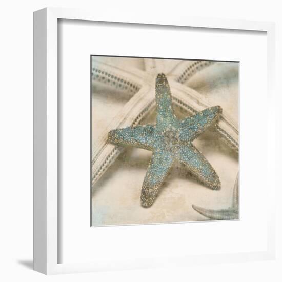 Coastal Gems III-John Seba-Framed Giclee Print