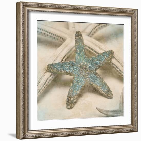 Coastal Gems III-John Seba-Framed Art Print