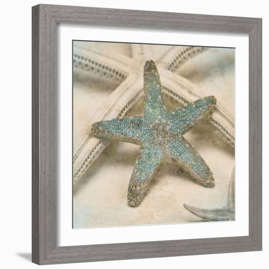 Coastal Gems III-John Seba-Framed Art Print