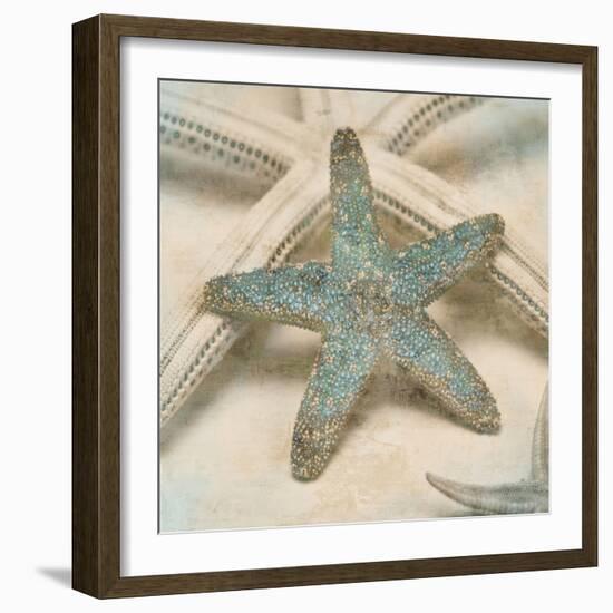 Coastal Gems III-John Seba-Framed Art Print