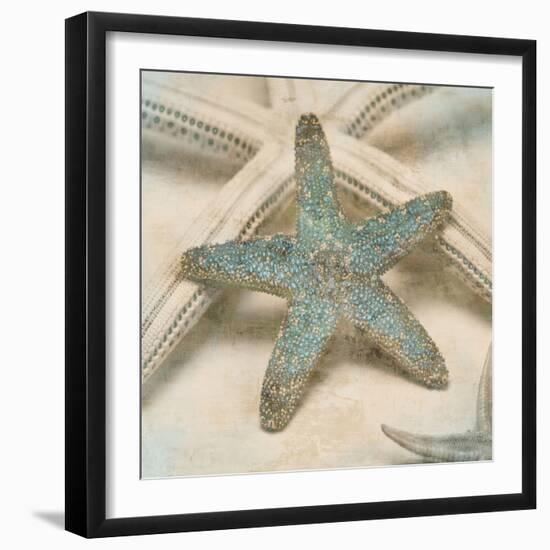 Coastal Gems III-John Seba-Framed Art Print