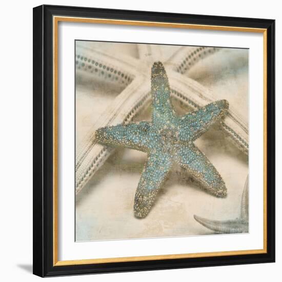 Coastal Gems III-John Seba-Framed Art Print