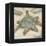 Coastal Gems III-John Seba-Framed Stretched Canvas