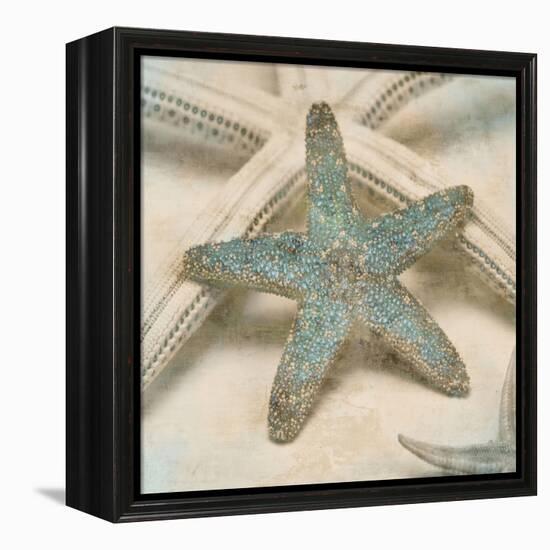 Coastal Gems III-John Seba-Framed Stretched Canvas