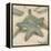 Coastal Gems III-John Seba-Framed Stretched Canvas