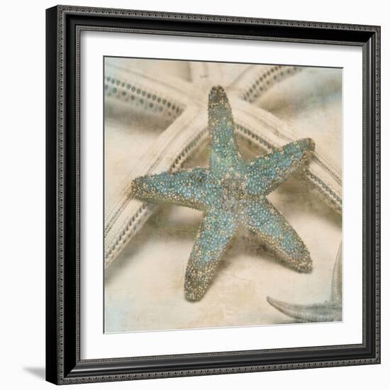 Coastal Gems III-John Seba-Framed Premium Giclee Print