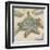 Coastal Gems III-John Seba-Framed Art Print