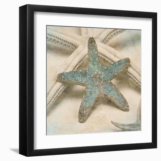 Coastal Gems III-John Seba-Framed Art Print