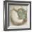 Coastal Gems IV-John Seba-Framed Giclee Print