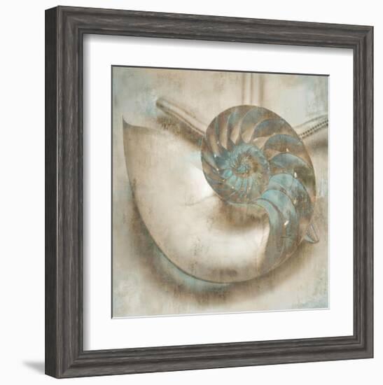 Coastal Gems IV-John Seba-Framed Giclee Print