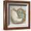 Coastal Gems IV-John Seba-Framed Giclee Print