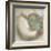 Coastal Gems IV-John Seba-Framed Giclee Print