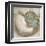 Coastal Gems IV-John Seba-Framed Giclee Print