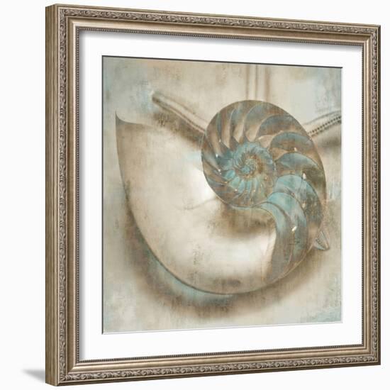 Coastal Gems IV-John Seba-Framed Art Print