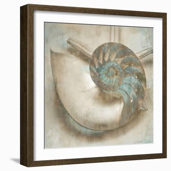 Coastal Gems IV-John Seba-Framed Art Print