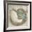 Coastal Gems IV-John Seba-Framed Art Print