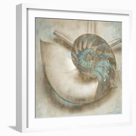 Coastal Gems IV-John Seba-Framed Art Print