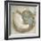 Coastal Gems IV-John Seba-Framed Art Print