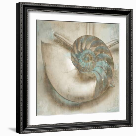 Coastal Gems IV-John Seba-Framed Art Print