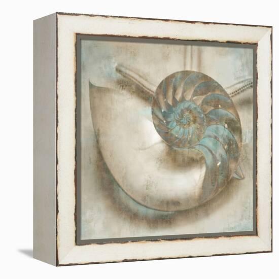 Coastal Gems IV-John Seba-Framed Stretched Canvas