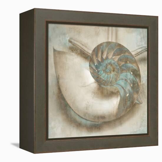 Coastal Gems IV-John Seba-Framed Stretched Canvas