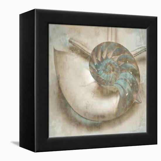 Coastal Gems IV-John Seba-Framed Stretched Canvas