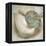 Coastal Gems IV-John Seba-Framed Stretched Canvas