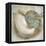 Coastal Gems IV-John Seba-Framed Stretched Canvas