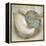 Coastal Gems IV-John Seba-Framed Stretched Canvas