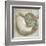 Coastal Gems IV-John Seba-Framed Art Print