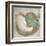 Coastal Gems IV-John Seba-Framed Art Print