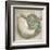 Coastal Gems IV-John Seba-Framed Art Print