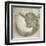 Coastal Gems IV-John Seba-Framed Art Print